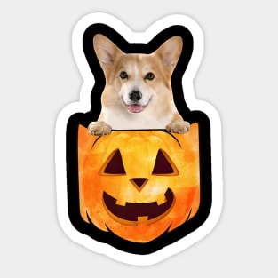 Corgi Dog In Pumpkin Pocket Halloween Sticker